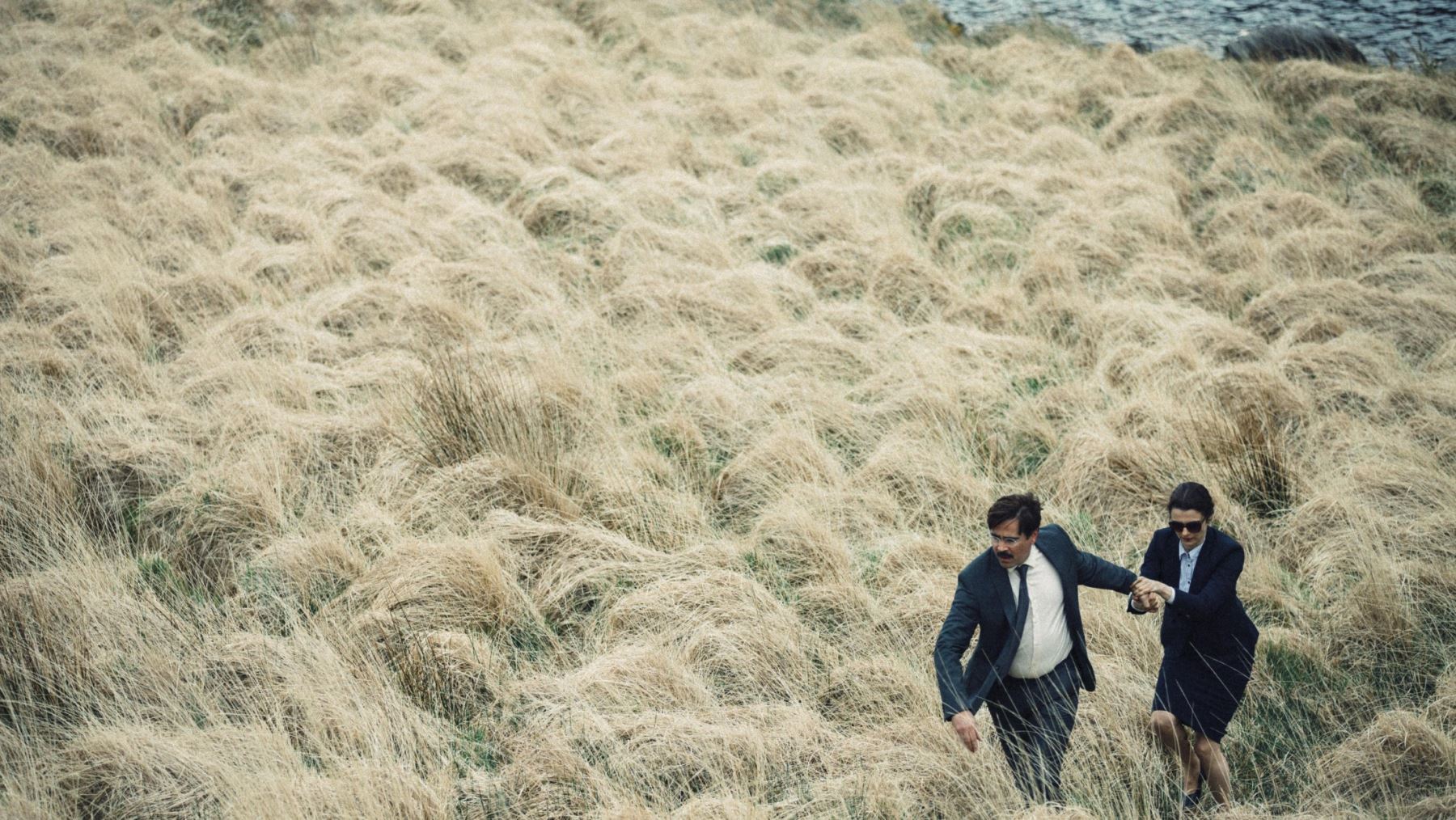 The Lobster