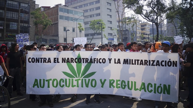 ¿Legalizar la mariguana si o no? Los beneficios de regular la mariguana
