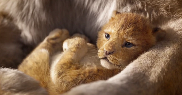 Maravilloso ¡realizan el nuevo trailer del Rey León en live action!