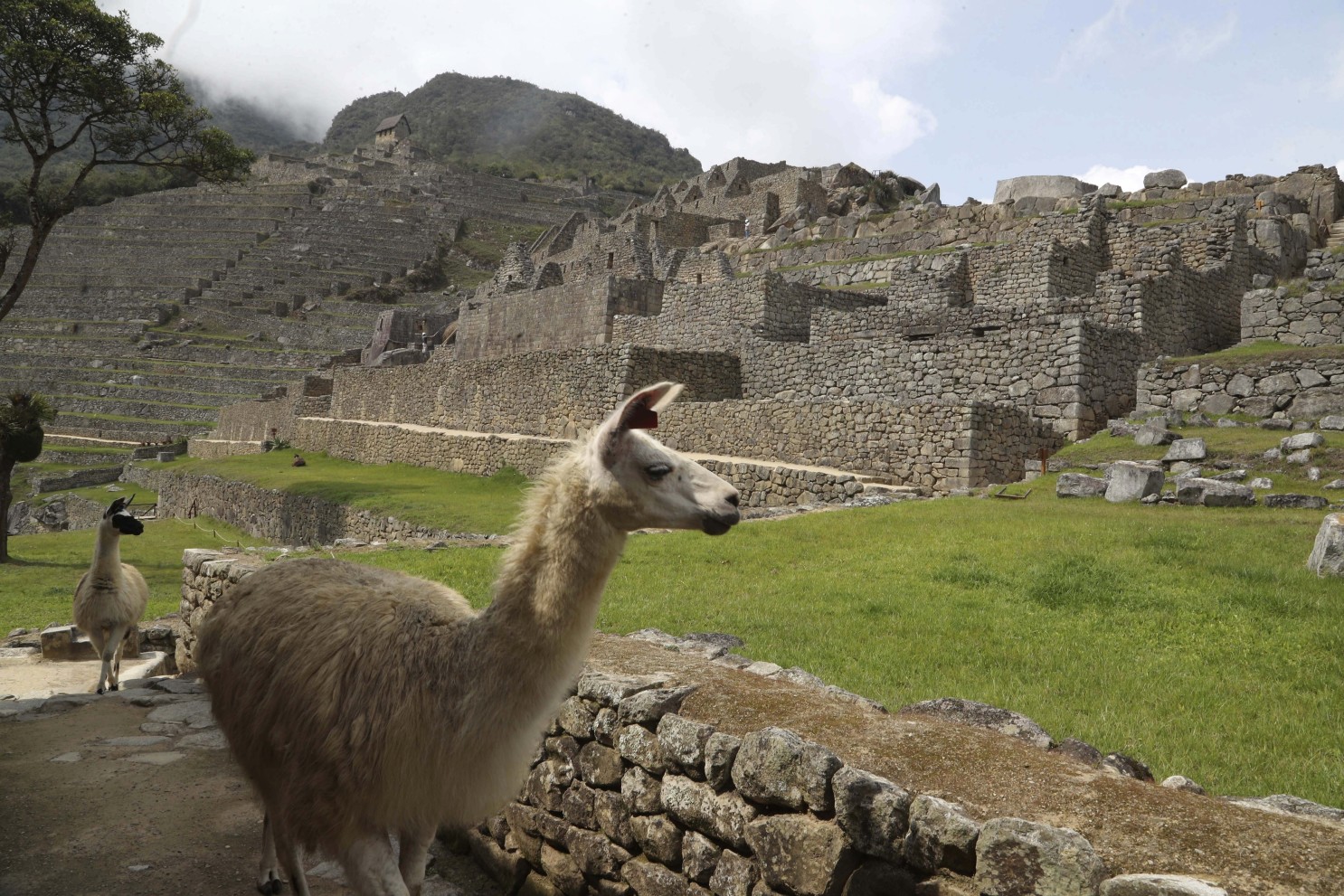 Reabren Machu Picchu tras cierre por coronavirus