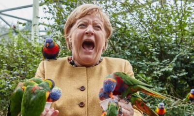 Merkel
