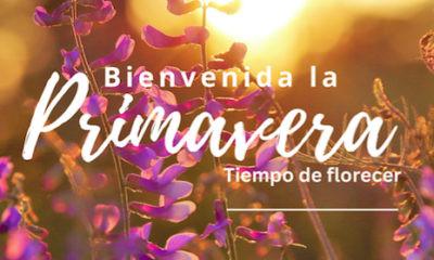 Primavera 2023 ivital.mx