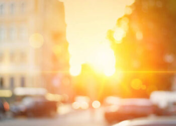 Combate el calor durante el verano