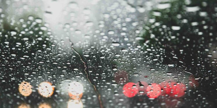 Tendencias para tomar en cuenta durante la temporada de lluvias