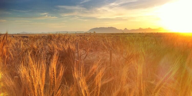 Conoce los avances de la transición energética y la sustentabilidad