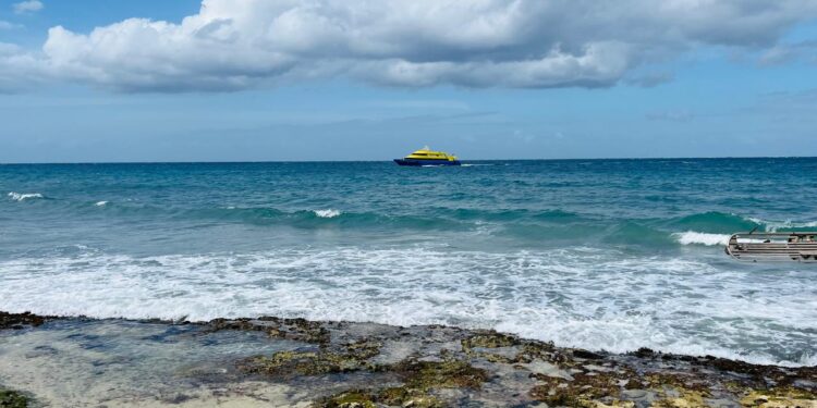 Conoce en qué consiste el “Turismo sustentable” en Cozumel