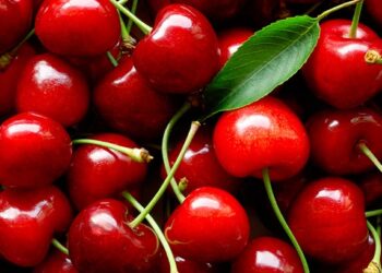 Alimentos que te harán sentir feliz en la temporada navideña