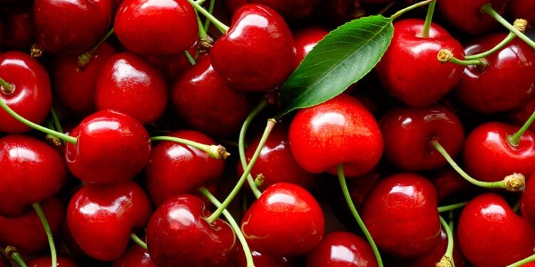 Alimentos que te harán sentir feliz en la temporada navideña