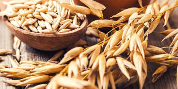 Nutrición básica para deportistas