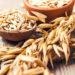 Nutrición básica para deportistas