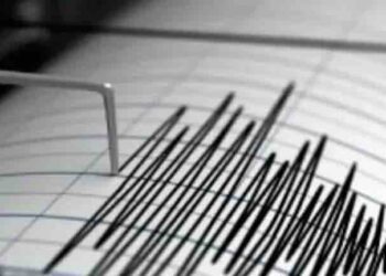 Se registra sismo de 6.5 grados en la Ciudad de México