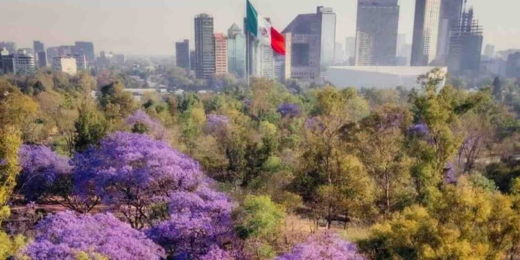 Se acerca la llegada de “La Primavera” con el Equinoccio 2026