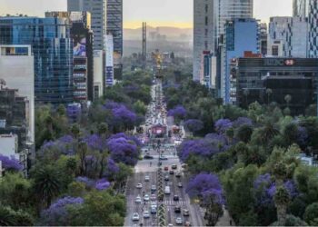 Calor, conciencia y acción