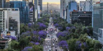 Calor, conciencia y acción