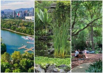 3 actividades para realizar en esta Semana Santa 2026