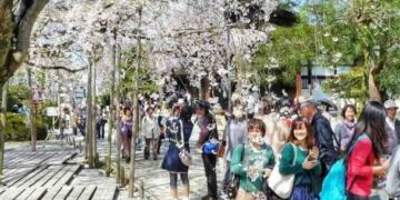 Los colores de la primavera 2026