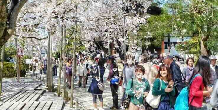 Los colores de la primavera 2026