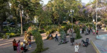 Agenda de actividades y conmemoraciones en el mes de mayo