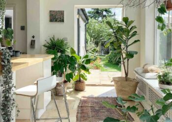 Jardines interiores que se adaptan a los espacios del hogar