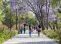 En este fin de semana ¡visita el Bosque de Chapultepec!
