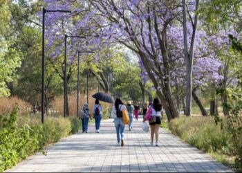 En este fin de semana ¡visita el Bosque de Chapultepec!