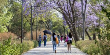 En este fin de semana ¡visita el Bosque de Chapultepec!