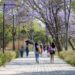 En este fin de semana ¡visita el Bosque de Chapultepec!