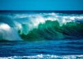 Hoy 8 de junio se conmemora el “Día Mundial de los Oceános”