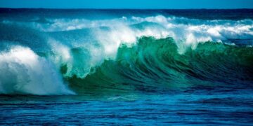 Hoy 8 de junio se conmemora el “Día Mundial de los Oceános”