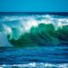 Hoy 8 de junio se conmemora el “Día Mundial de los Oceános”