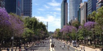 Cultura contemporánea, arte y deporte para disfrutar el fin de semana