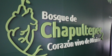 Cultura, tecnología y naturaleza
