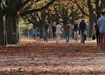 Actividades deportivas para disfrutar la temporada de otoño