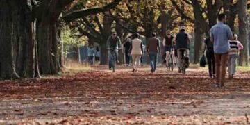 Actividades deportivas para disfrutar la temporada de otoño
