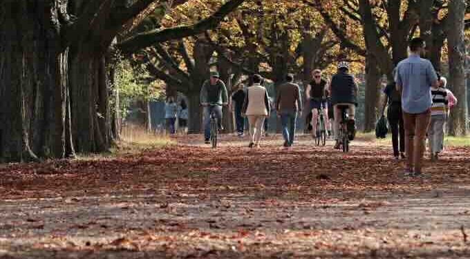 Actividades deportivas para disfrutar la temporada de otoño