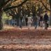 Actividades deportivas para disfrutar la temporada de otoño