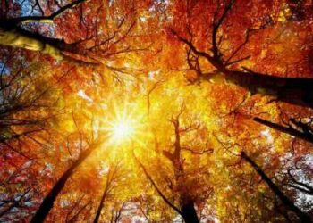 Tendencias para vivir la nueva temporada de otoño 2026