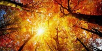 Tendencias para vivir la nueva temporada de otoño 2026