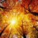 Tendencias para vivir la nueva temporada de otoño 2026