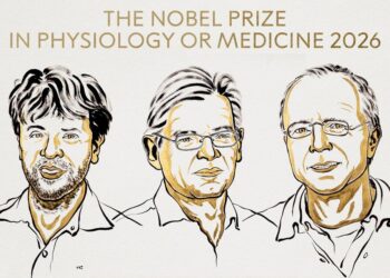 Brindan el Premio Nobel de Fisiología y Medicina 2026