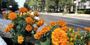 Alebrijes y flores de cempasúchil para disfrutar Paseo de la Reforma